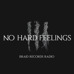 Braid Recordings // 027 - No Hard Feelings