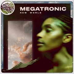 Turntables On The Hudson - Megatronic & Tornqvist - "New World EP" 3 track promo sample