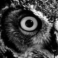 TECHNO MIX  2021