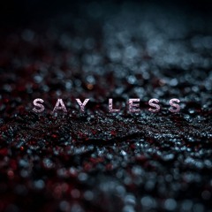 S A Y L E S S