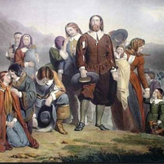 Pilgrim's Pride