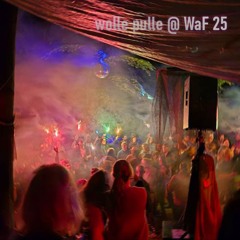 wolle pulle @ WeAreFamily Festival
