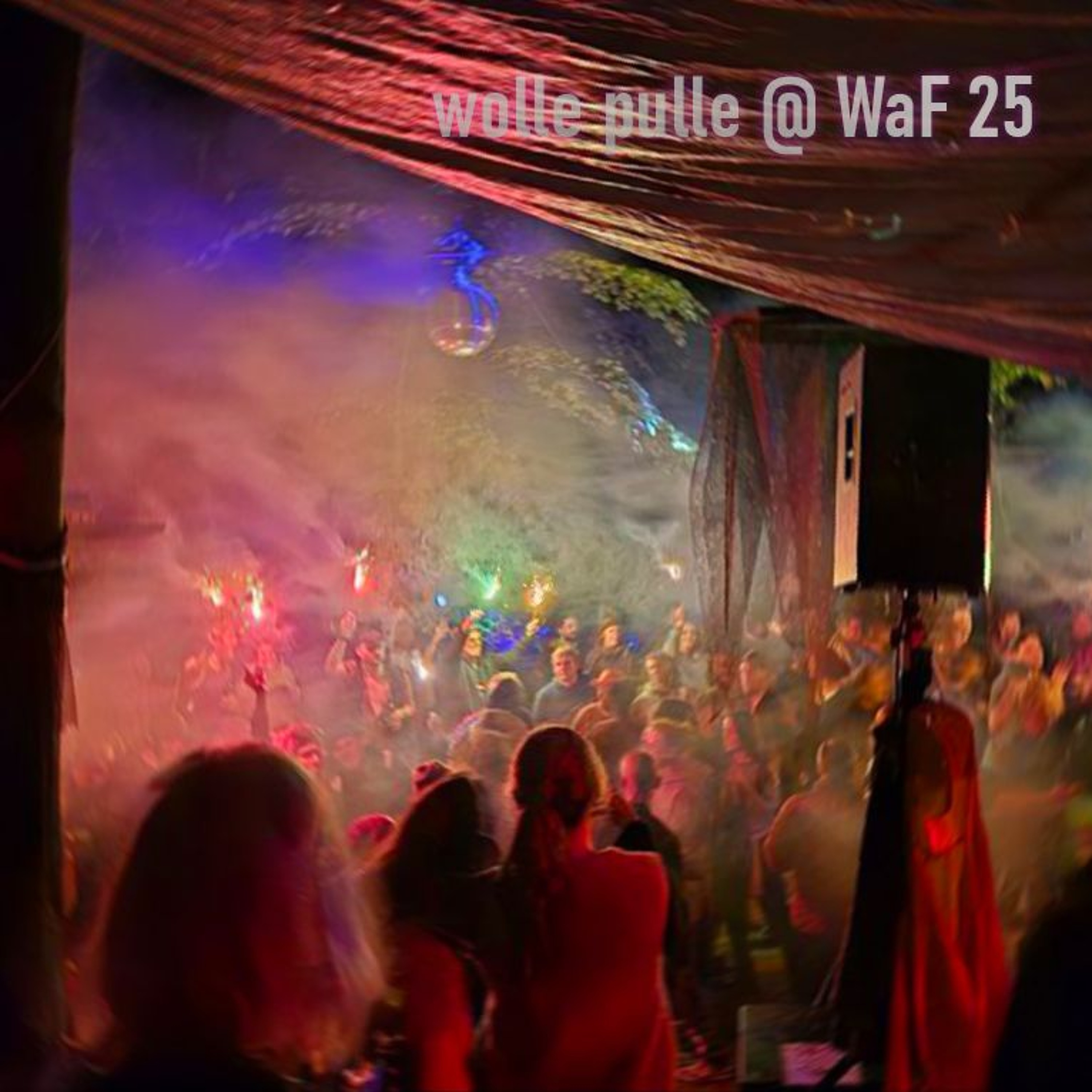 Wolles Musik