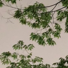 여린마음 [demo]