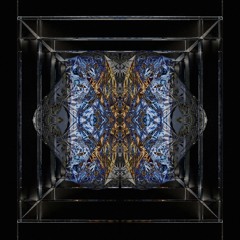 PREMIERE: Holism - Songe (Beatune Remix)