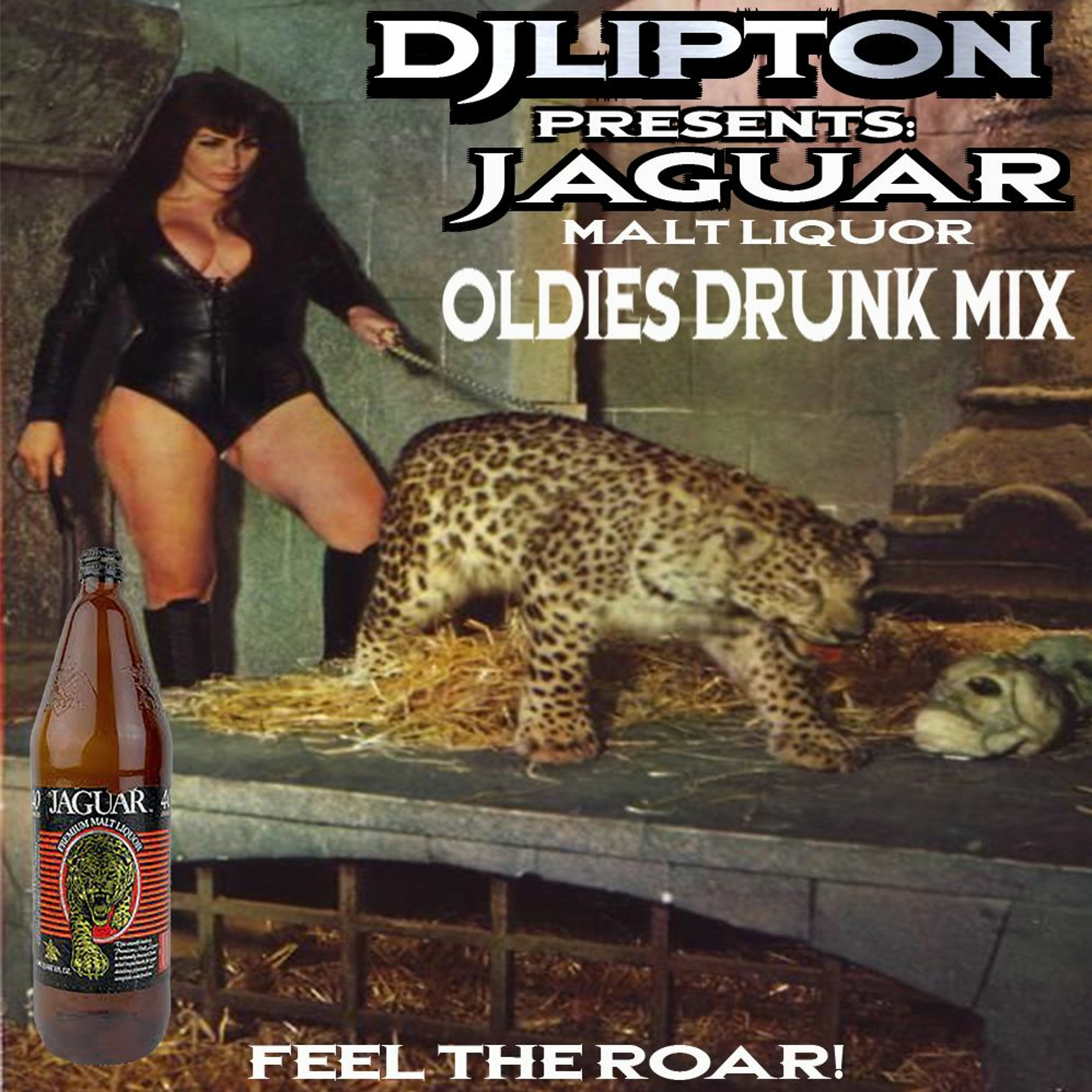 Dj Lipton