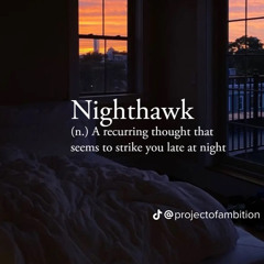 nighthawk. (instrumental)