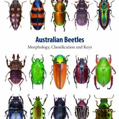 Get KINDLE PDF EBOOK EPUB Australian Beetles: Morphology, Classification and Keys (Australian Beetle