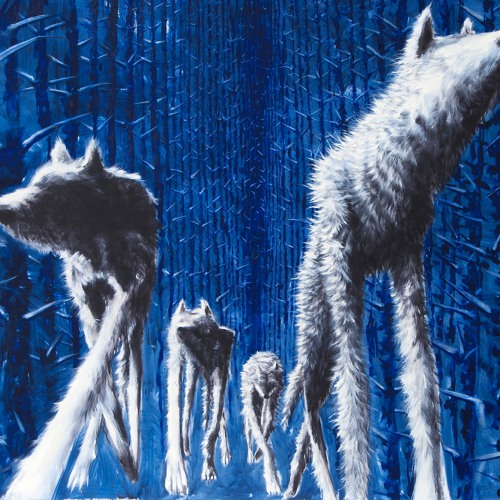 Premiere: Bungalovv - Behind the Storm (feat. Catnapp) [Genome 6.66 Mbp]