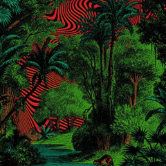 Peaty - Bamako vs Jedan Bojsen - Lets go