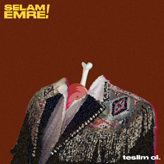 teslim ol.mp3 x 44.1KHz_16Bit