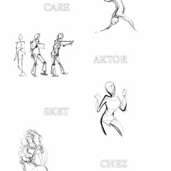 Care Aktor Sket Chez