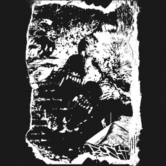 [NST196] NWHR - Los Poseidos (Album, 2x12")