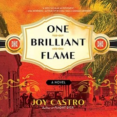 VIEW EBOOK 💑 One Brilliant Flame: A Novel by  Joy Castro,Krysta Gonzales,Tania Possi