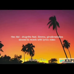 Hev Abi - Drugr4ts Feat. Simmo, Gin&Melodies (Lyrics) (slowed & reverbed) | Hev Abi Song