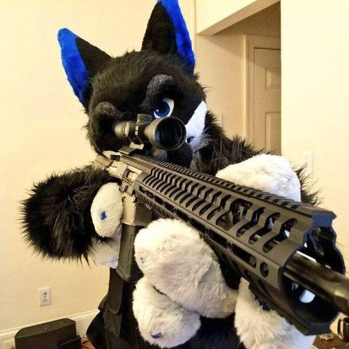 Furry Fury