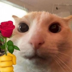 ti`nh vai~