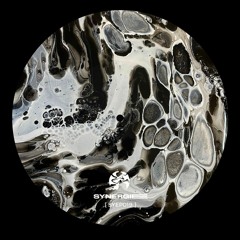 AN PREMIERE 228 | Lenn Reich - Stigmata [SYNERGIE]