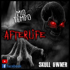 Afterlife - Skull Owner (Original Mix)