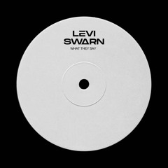 Levi Swarn - What They Say (clip)
