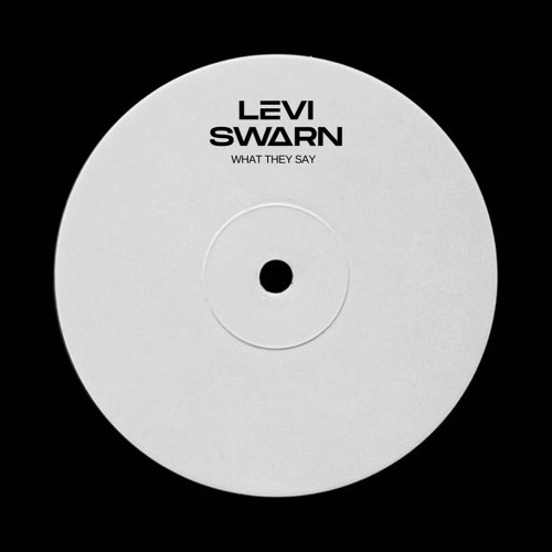 Levi Swarn - What They Say (clip)