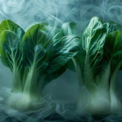 DLCK& TACXIN- Bok Choy