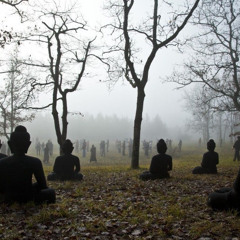 lo haria otra vez prod me