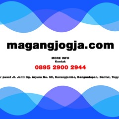 Q & A Magang MagangJogja.com Tempat Magang
