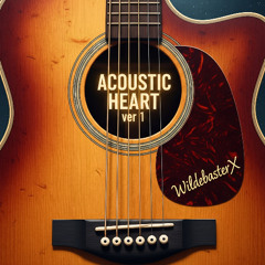 Acoustic Heart ver 1 (Acoustic Guitar Instrumental)