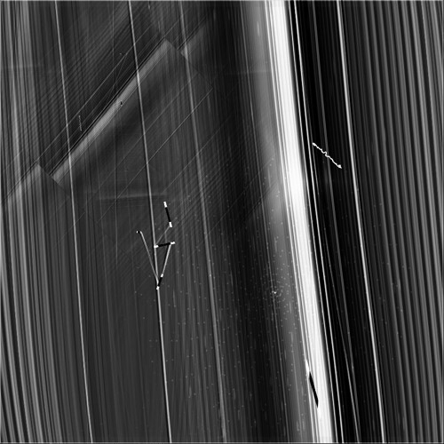 Feed The Contrapuntal