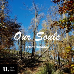 Meadow under the Prospect