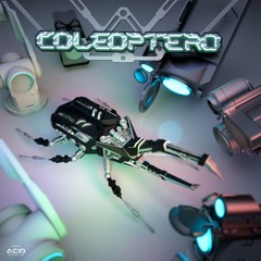Coleoptero.  chuen progrest 138 Bpm