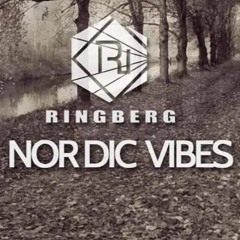Nordic Vibes With Ringberg 030