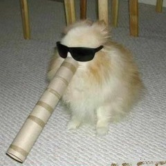 Hassuttelu Hupsuttelu