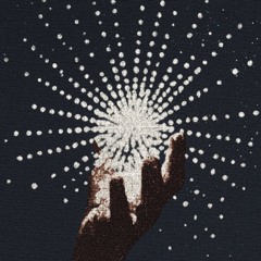 BLOOD ORANGE FREESTYLE