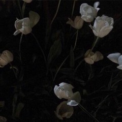 꽃은 따라서