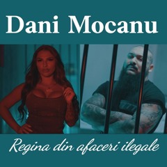 Dani Mocanu  Regina Din Afaceri Ilegale  Official Audio