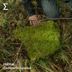 Habitat – Caminetto Session