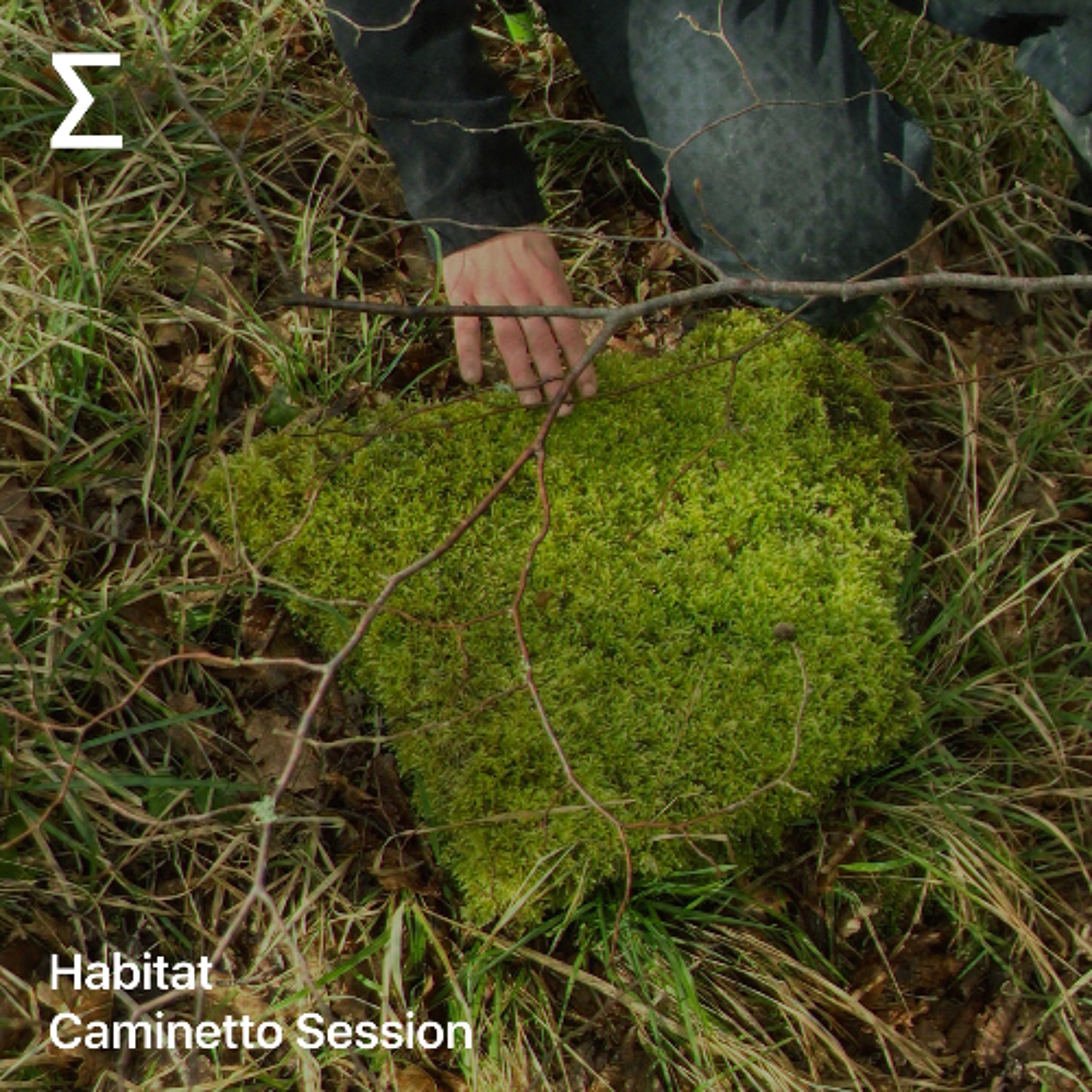 Habitat – Caminetto Session Habitat – Caminetto Session