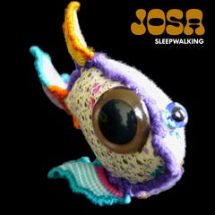 Sleepwalking