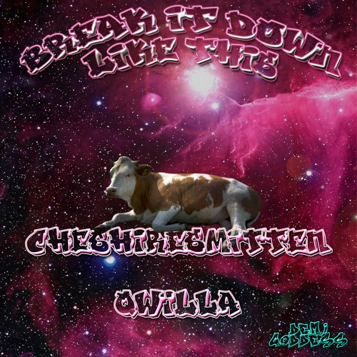 CheshireSmitten & QwillA - Break It Down Like This