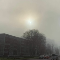 даб