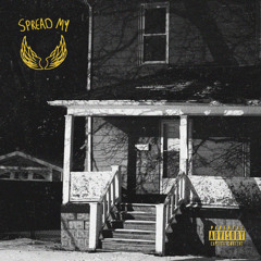 SPREADMYWINGS (feat. insyt. & Thelonious)