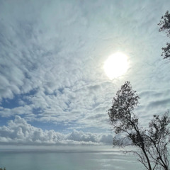 Vanity Under the Sun