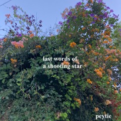 last words of a shooting star