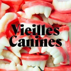 Vieilles Canines - Episode #14 - Grégoire L.