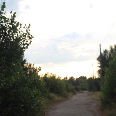 Ван Гог