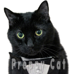 Preppy Cat