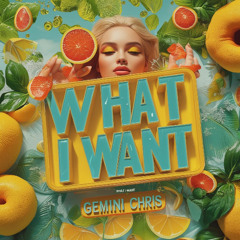 GEMIN CHRIS - WHAT I WANT