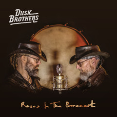 The Old Holler Medicine Show